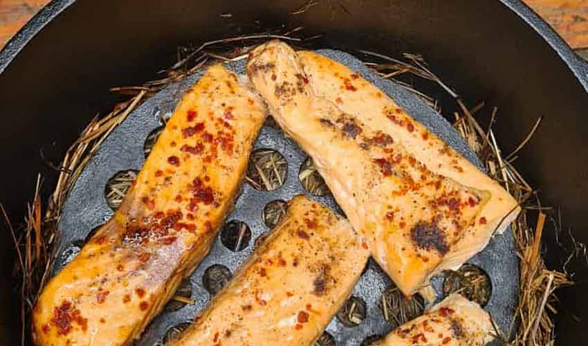 Wildlachs Filet