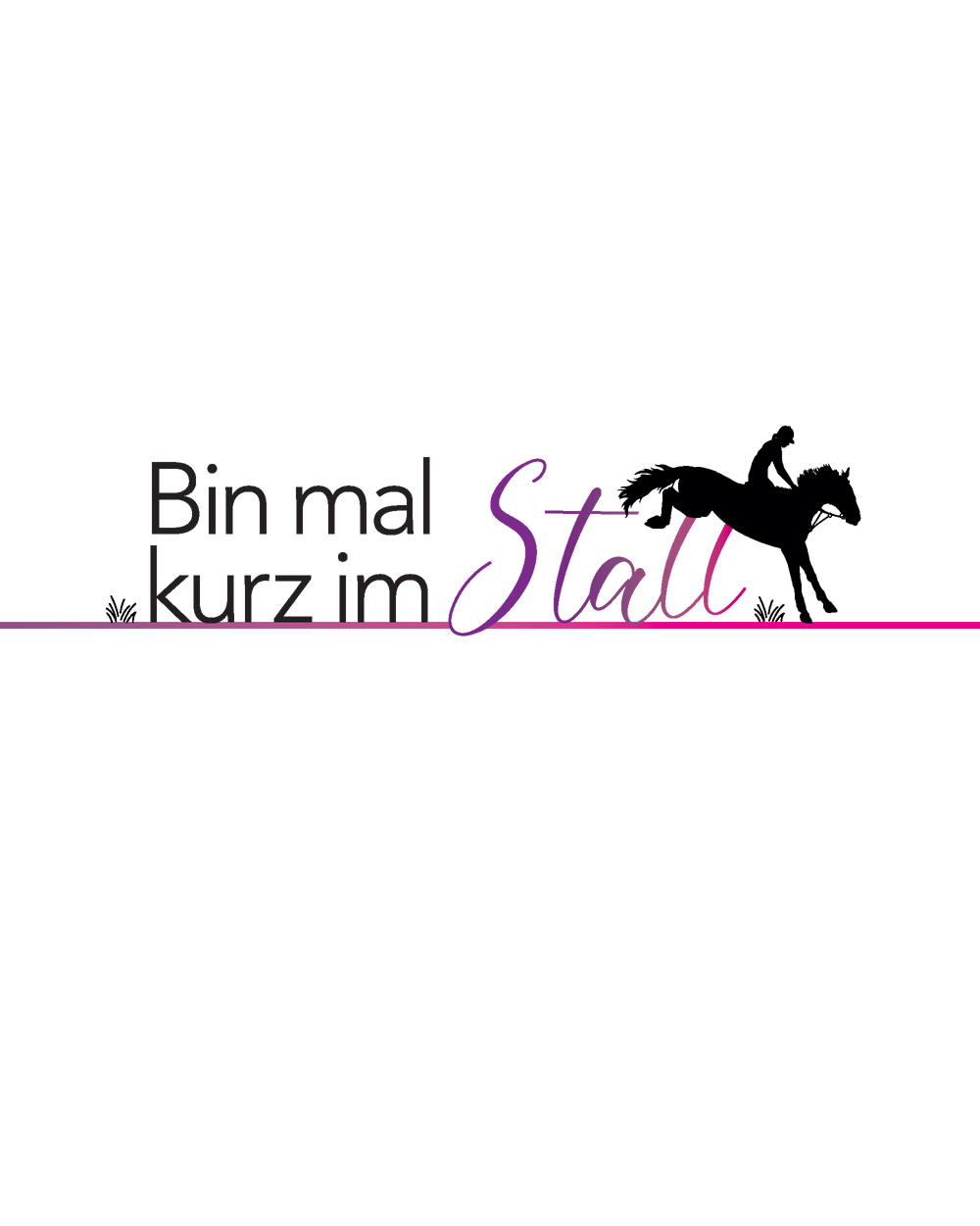 gs08_30_bin_mal_kurz_im_stall_b_web_md_01 Hobby-Set Bin mal kurz im Stall - Reiter